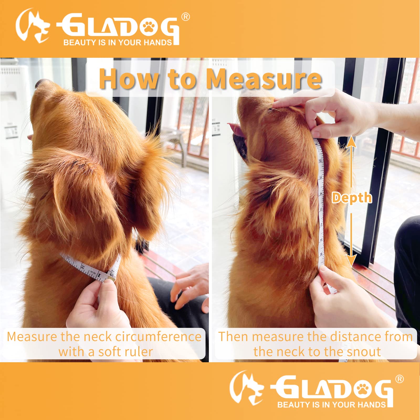 GLADOG cone protecting furniture while pet rests and recovers