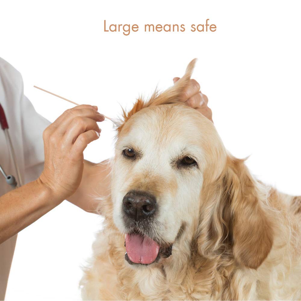 GLADOG sterilized cotton heads for tidy dog ear maintenance.