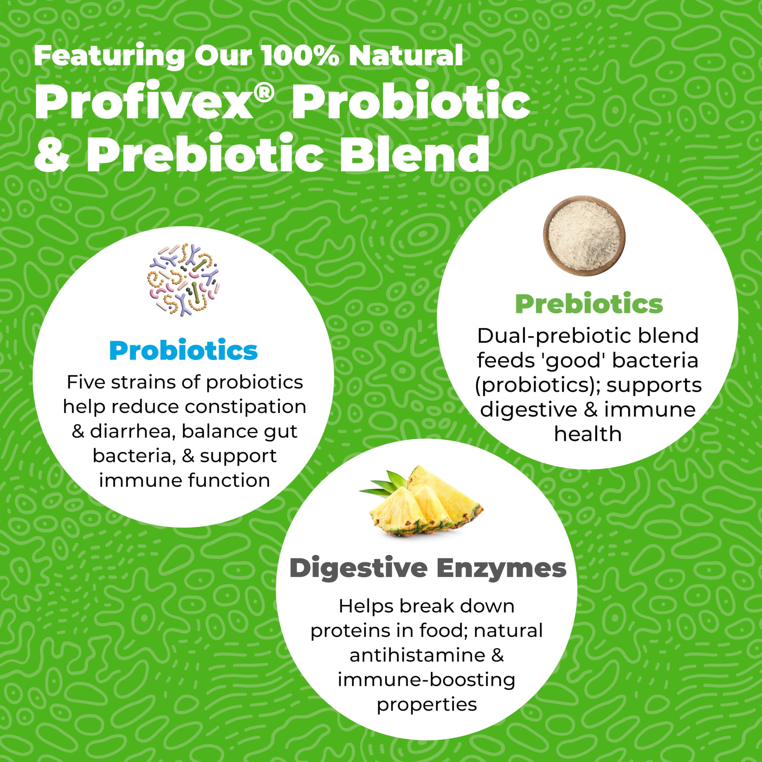 Glandex probiotic powder with digestive enzymes easy meal mix-in for dogs