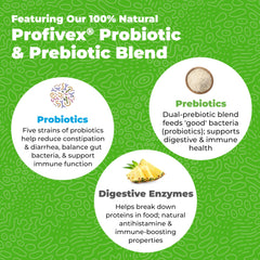 Glandex probiotic powder with digestive enzymes easy meal mix-in for dogs