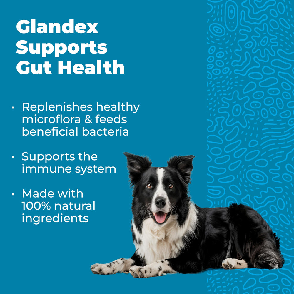 Profivex probiotics in Vetnique Glandex high-quality gut-friendly strains
