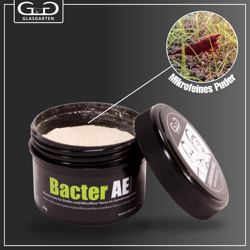 GlasGarten Bacter AE biofilm formation demonstrates a natural food source in tanks.