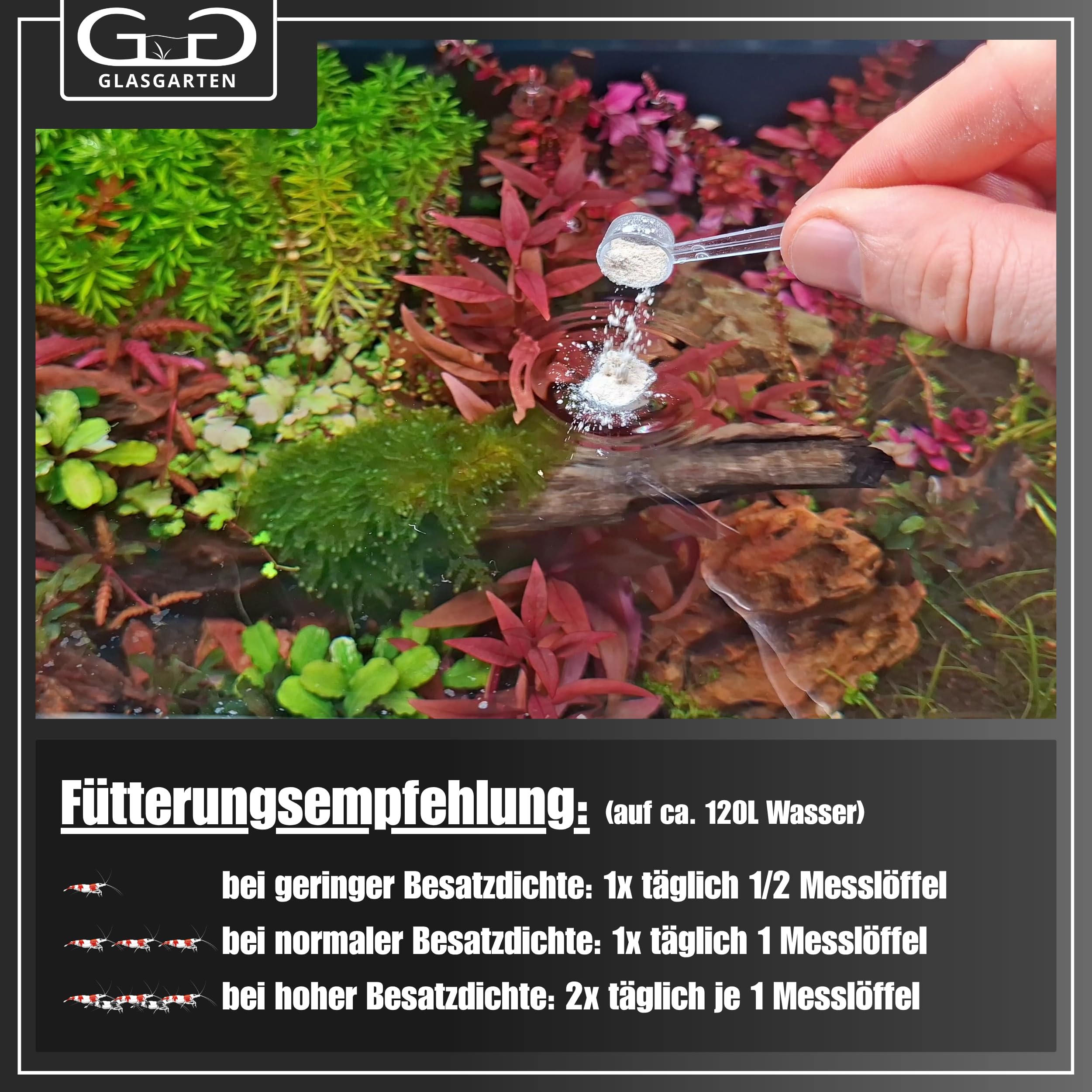 GlasGarten Bacter AE water clarity view hints at improved balance.