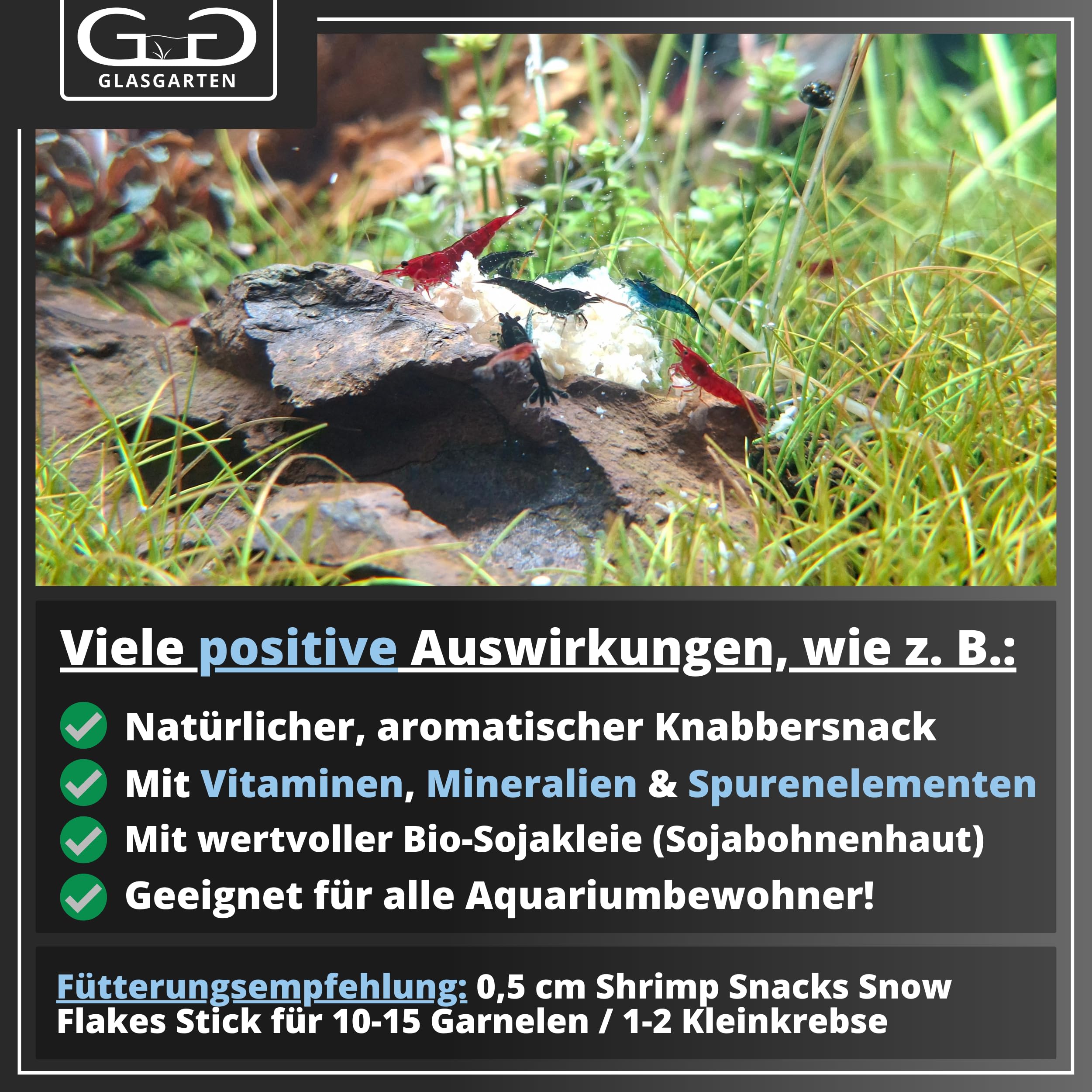 GlasGarten Snow Flakes used as holiday food with leaf litter