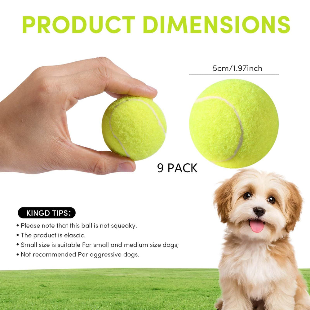 GLECTG durable chew-resistant mini balls for long-lasting fetch and bite-safe fun