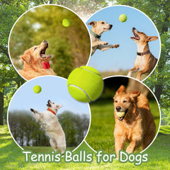 GLECTG high-visibility balls help you spot playtime quickly during park or yard sessions