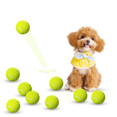 GLECTG mini tennis balls 2-inch pack in bright color ideal for small dogs and launcher play