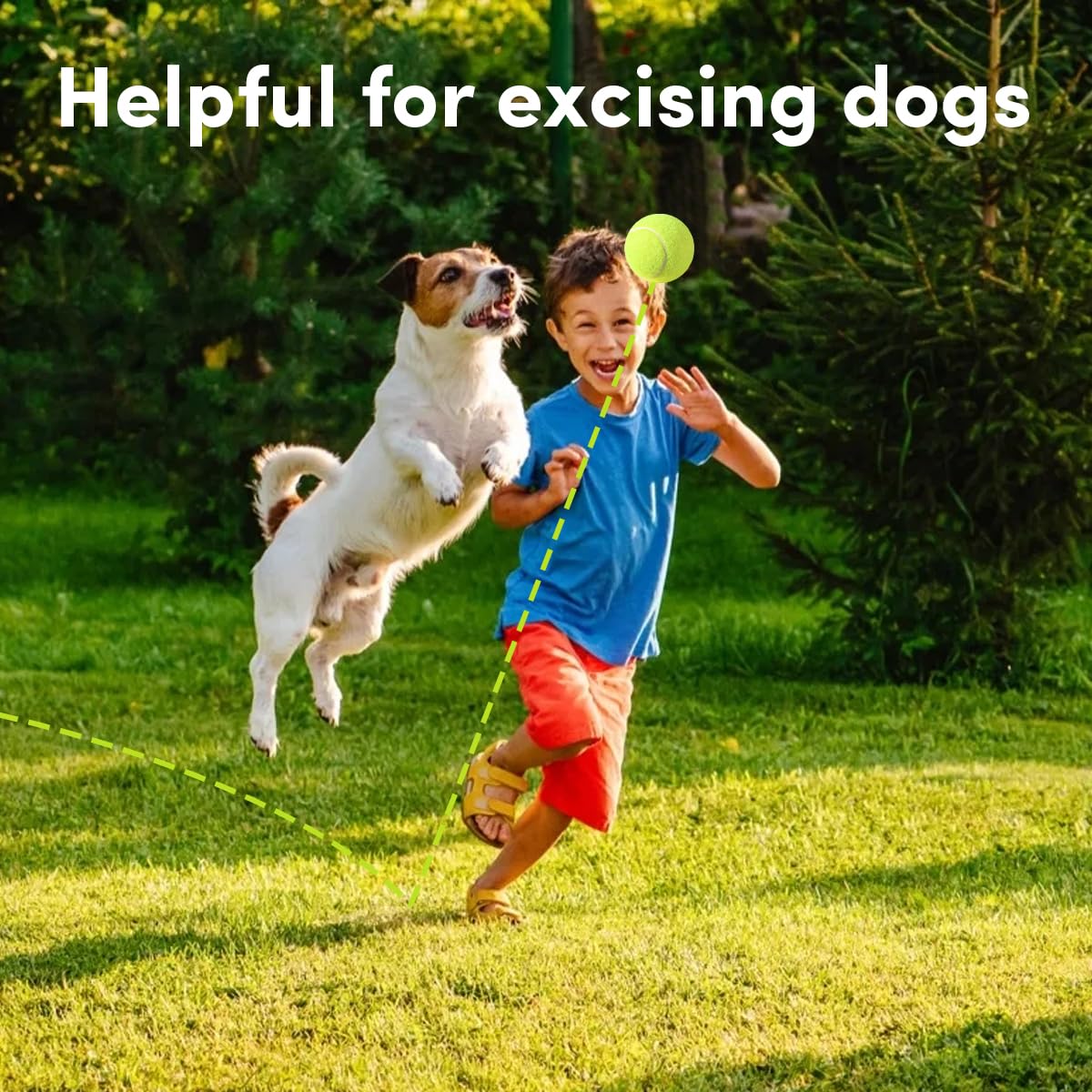 GLECTG small-dog fetch essentials pack suitable for gifting and daily fetch