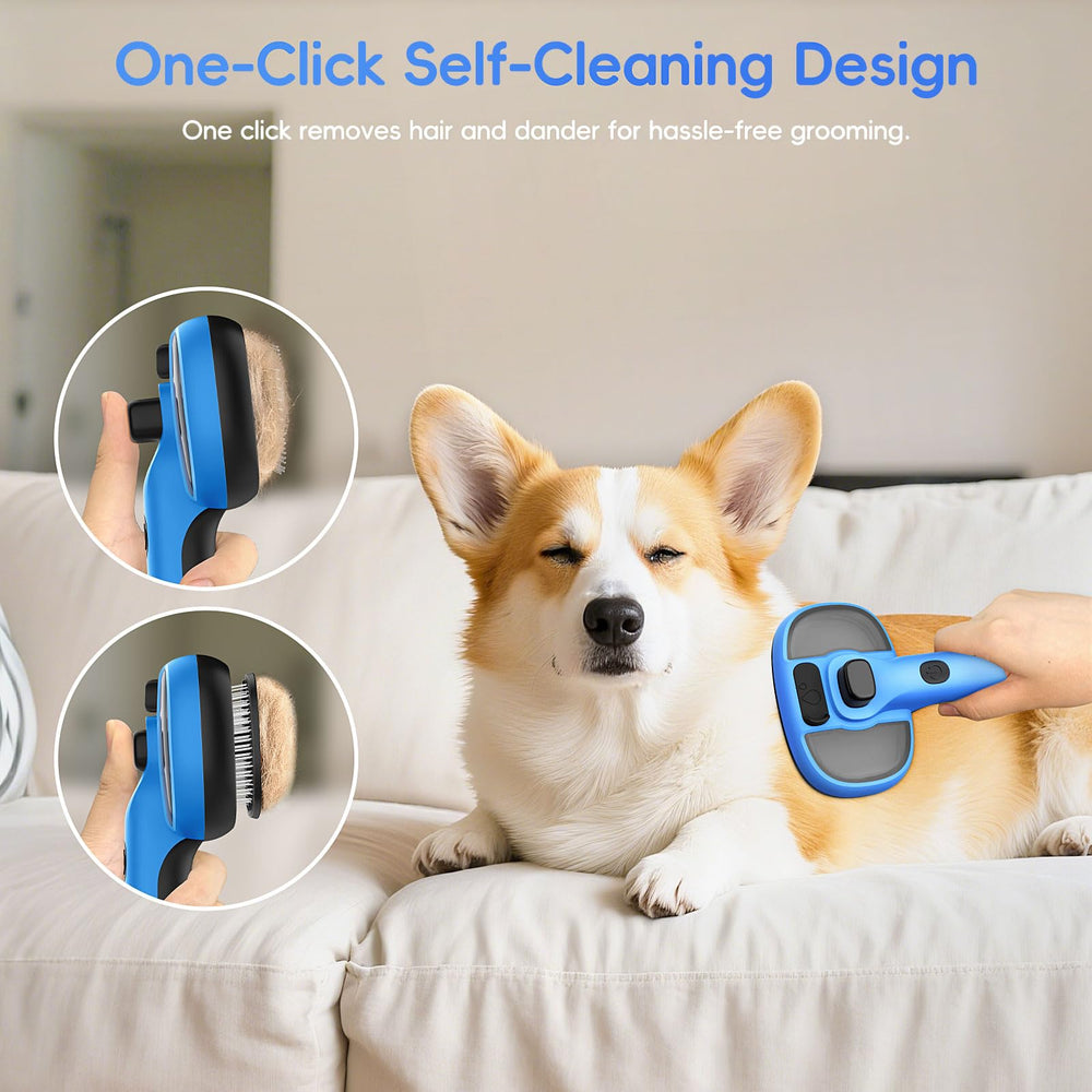 Gleedeal Cat Steam Brush gift packaging, perfect for pet owner gifts.
