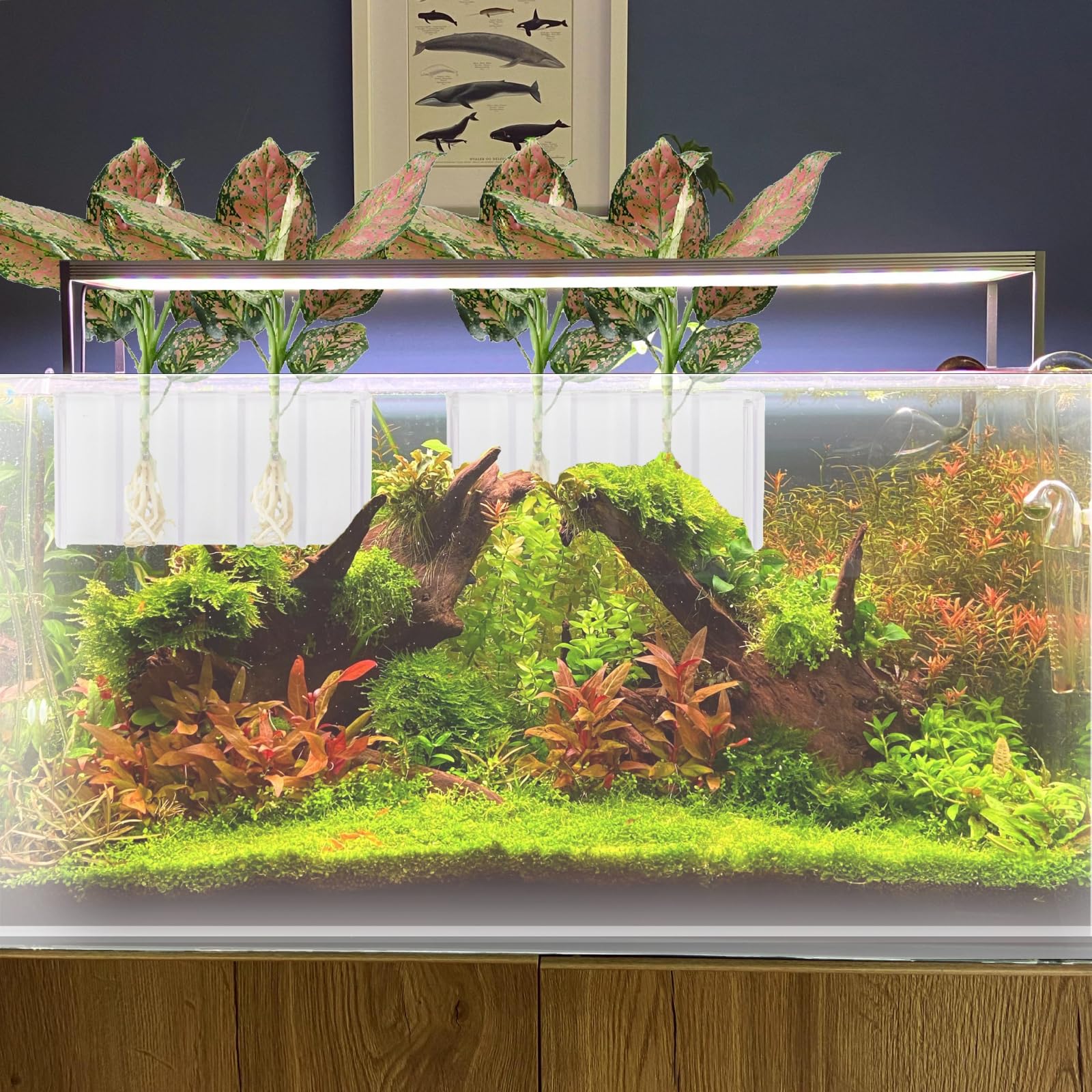 GLEFLE durable plastic material ensures long-lasting use in aquariums.