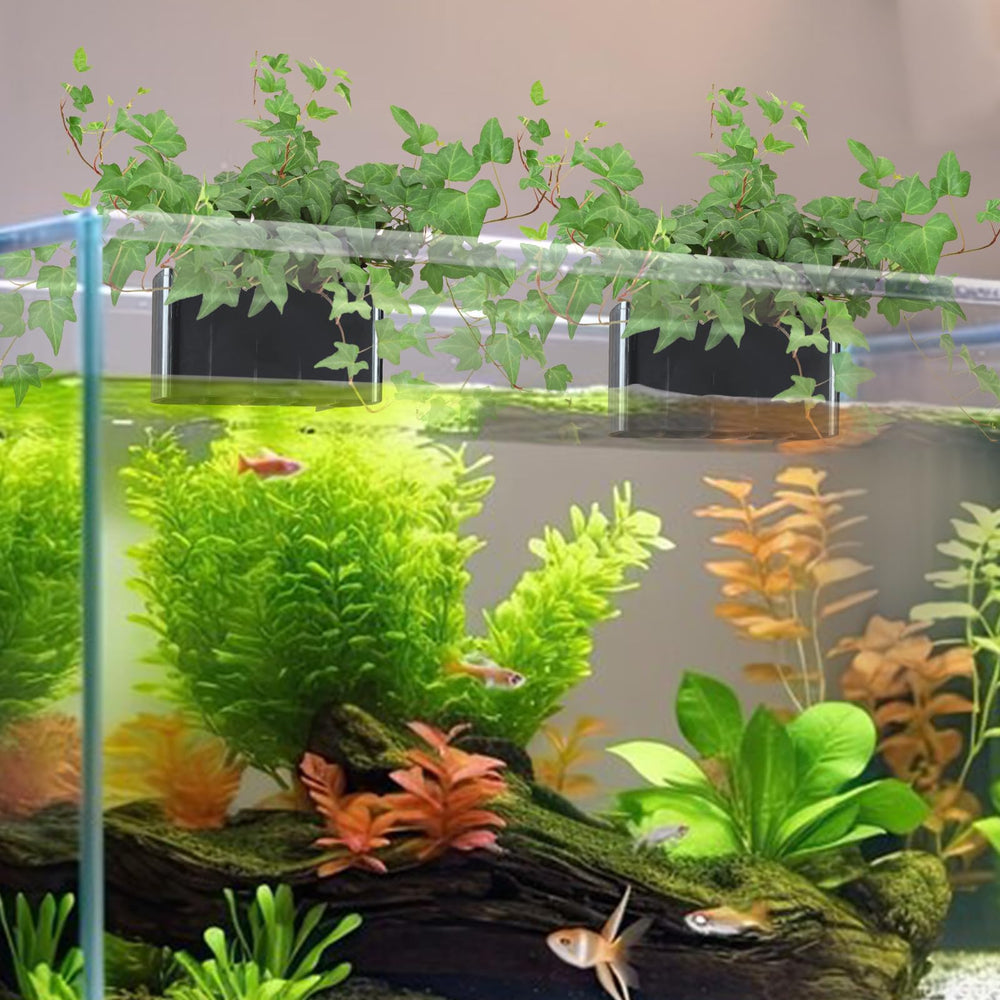 GLEFLE aquarium plant holder hook design demonstrates easy hanging in various aquarium styles