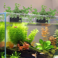 GLEFLE aquarium plant holder hook design demonstrates easy hanging in various aquarium styles