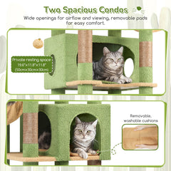 Globlazer cactus cat tree includes an enlarged base plate for stability.