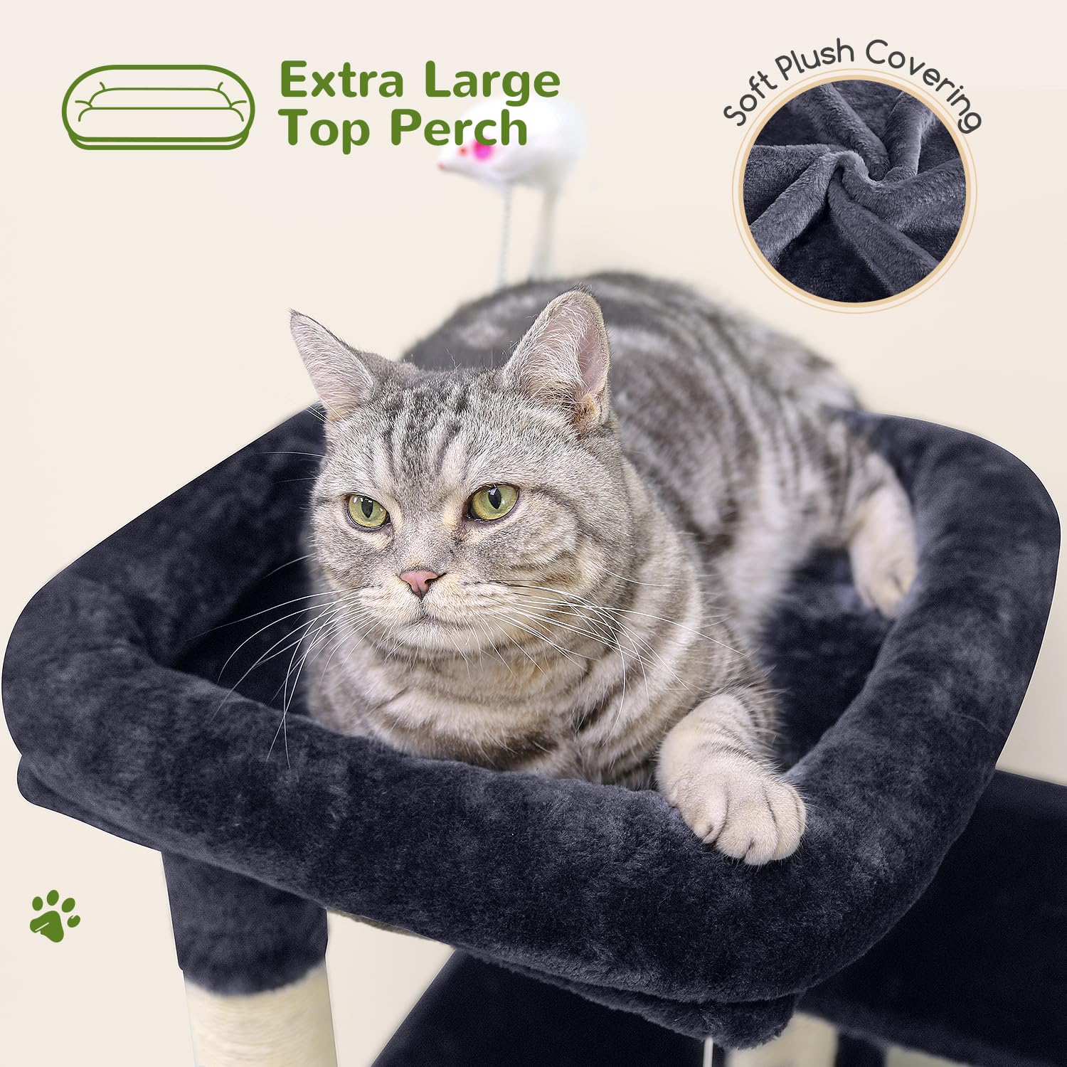 Globlazer cat tree tower top perch offers wide view of the room