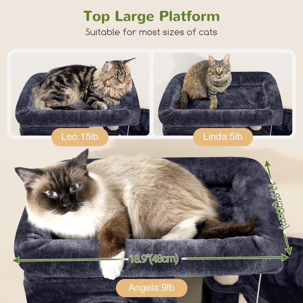 Globlazer cat condos offer private spaces for three cats to rest comfortably.