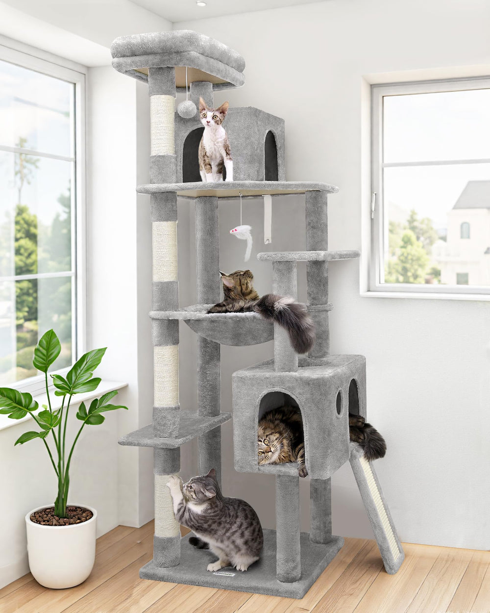 Globlazer F70 Pro hammock resting area provides a cozy space for adult cats to nap