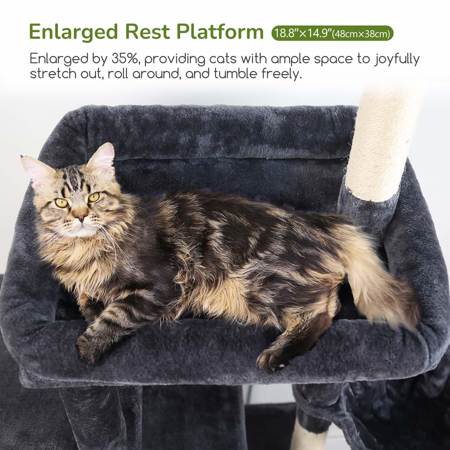 Globlazer heavy-duty cat tree 71in tall three condos for multi-cat homes.