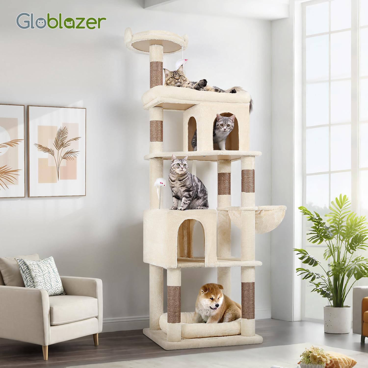 Globlazer S72 72-inch cat tree height suits tall breeds like Maine Coons.