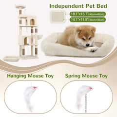 Globlazer S72 dual cat condos offer private lounge and lookout spots.