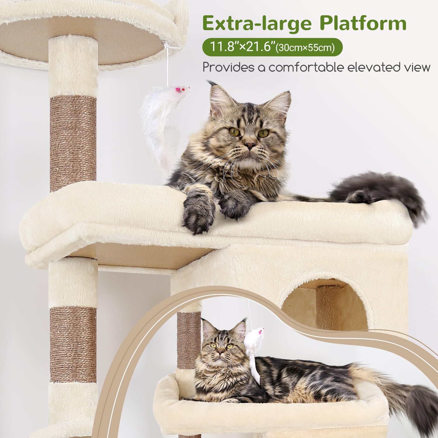 Globlazer S72 oversized platform gives big cats a roomy rest area.