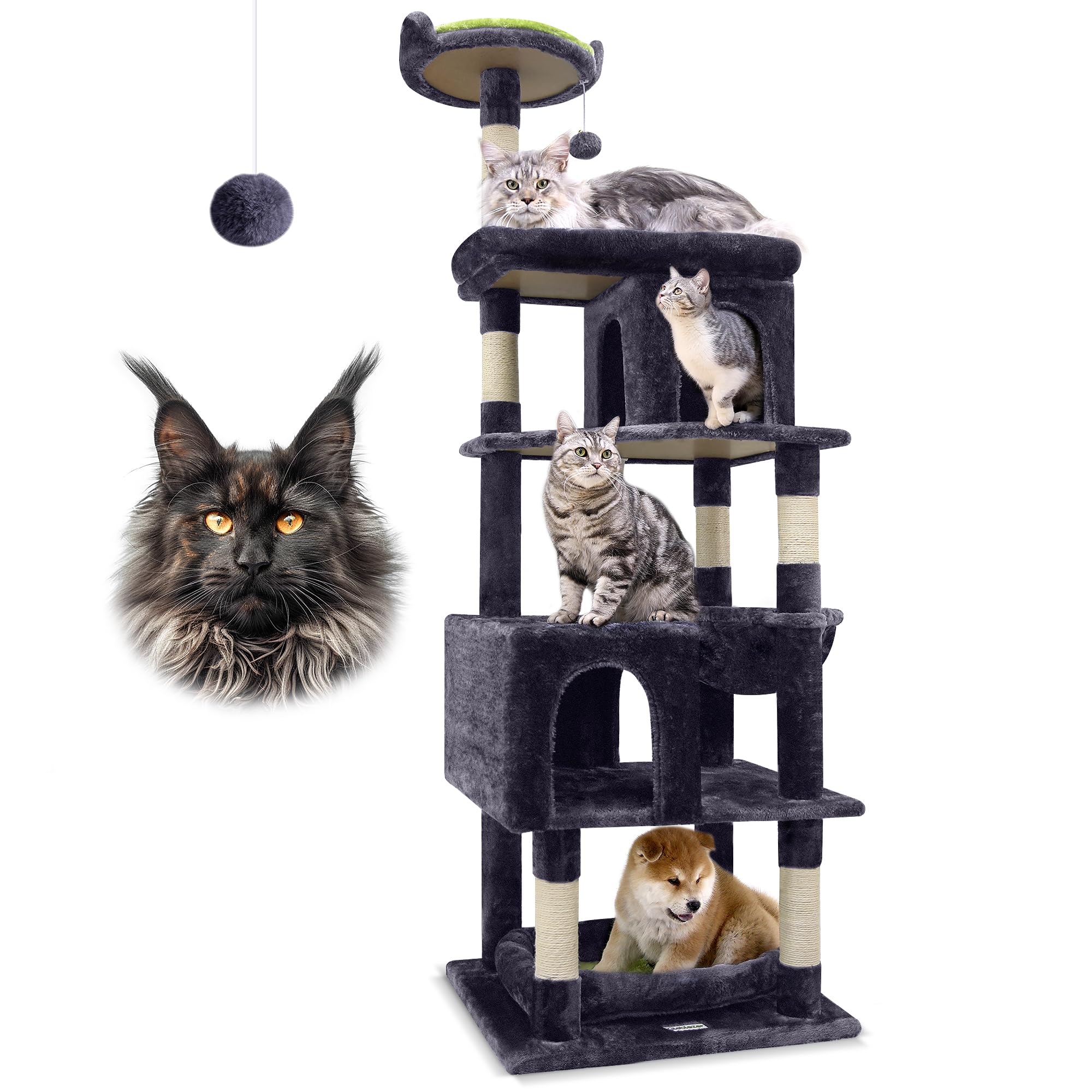 Globlazer S72 sturdy triangular structure provides stable climbing for large cats.