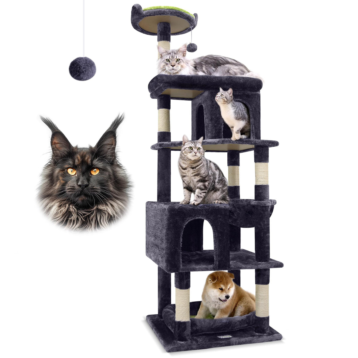 Globlazer S72 sturdy triangular structure provides stable climbing for large cats.