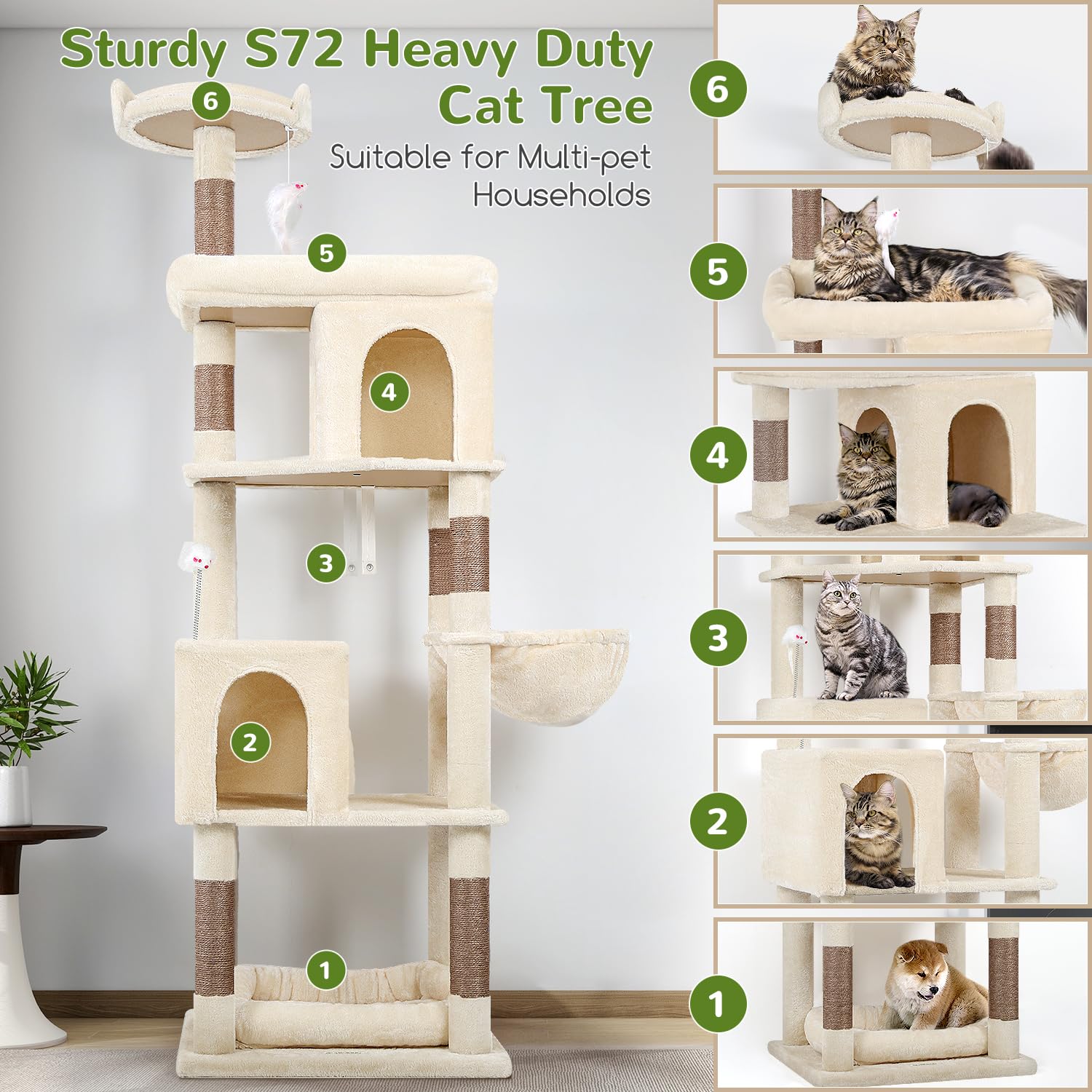 Globlazer S72 triangular-frame design enhances tall-cat stability.