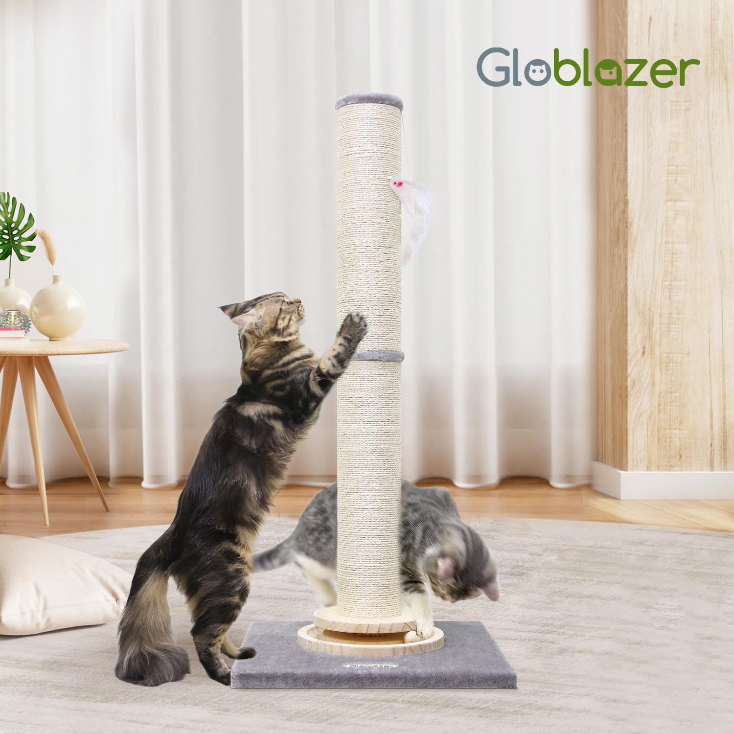 Globlazer SC35 assembly tools included image indicating easy setup.