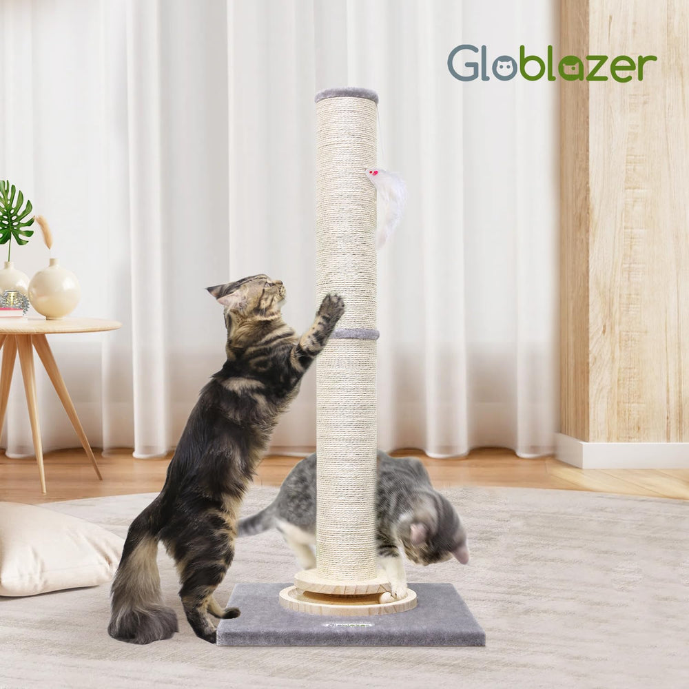 Globlazer SC35 assembly tools included image indicating easy setup.