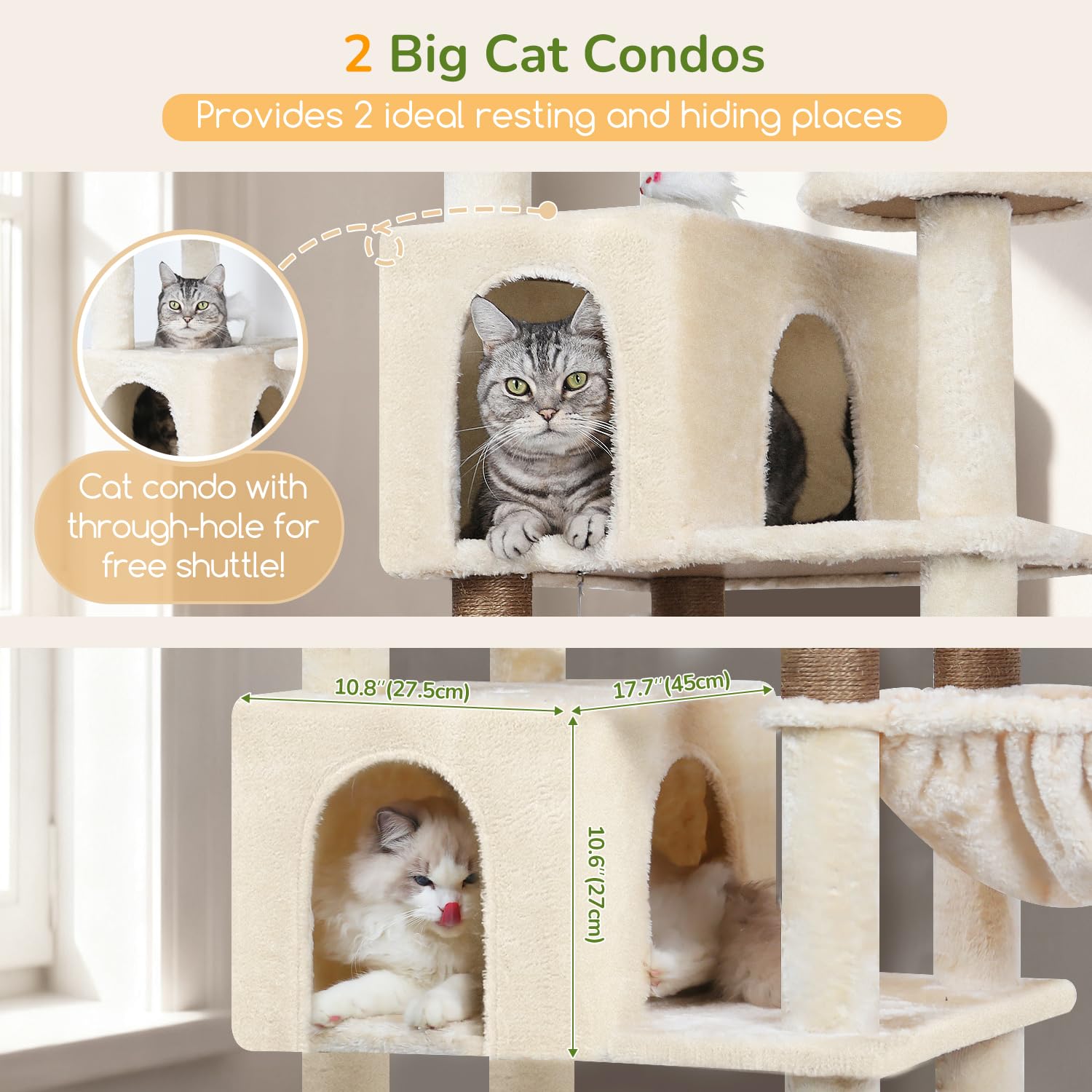 Globlazer two large padded perches, top view, ideal observation and lounging for big cats.