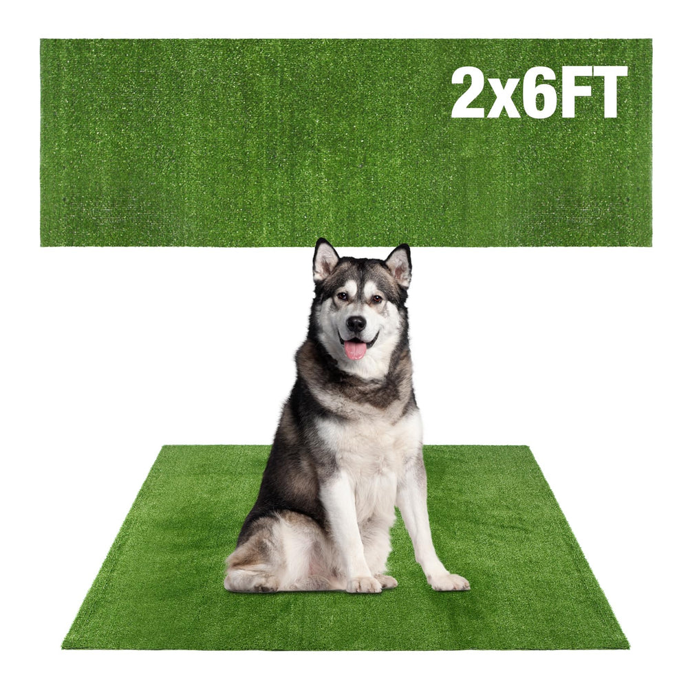 GLOBREEN Grass Pad large 2ft x 6ft dog turf for indoor outdoor potty use