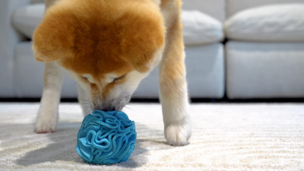 Glory To Dog snuffle ball variable depth invites deeper sniffing and challenge.
