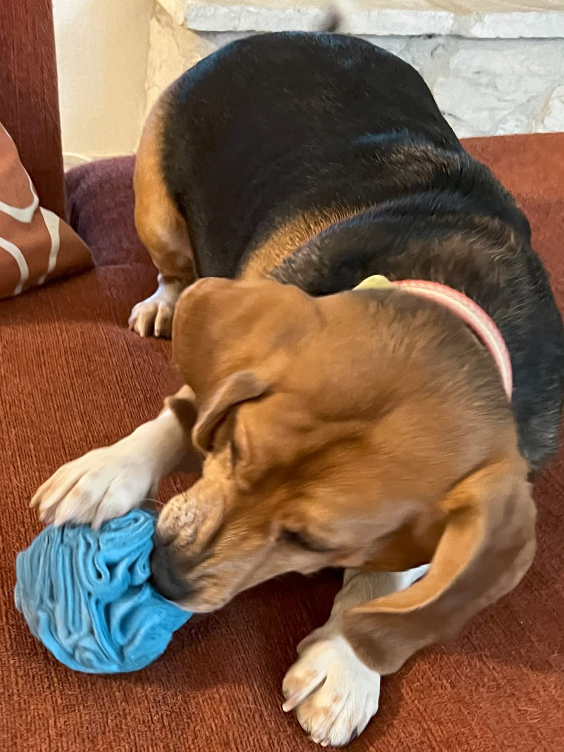 Glory To Dog snuffle ball in-use demonstrates dog engaged in foraging.
