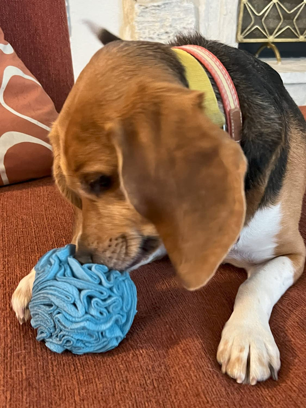 Glory To Dog snuffle ball machine-washable for easy cleanup after play.