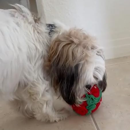 Glory To Dog Snuffle Ball gift idea for new puppies.