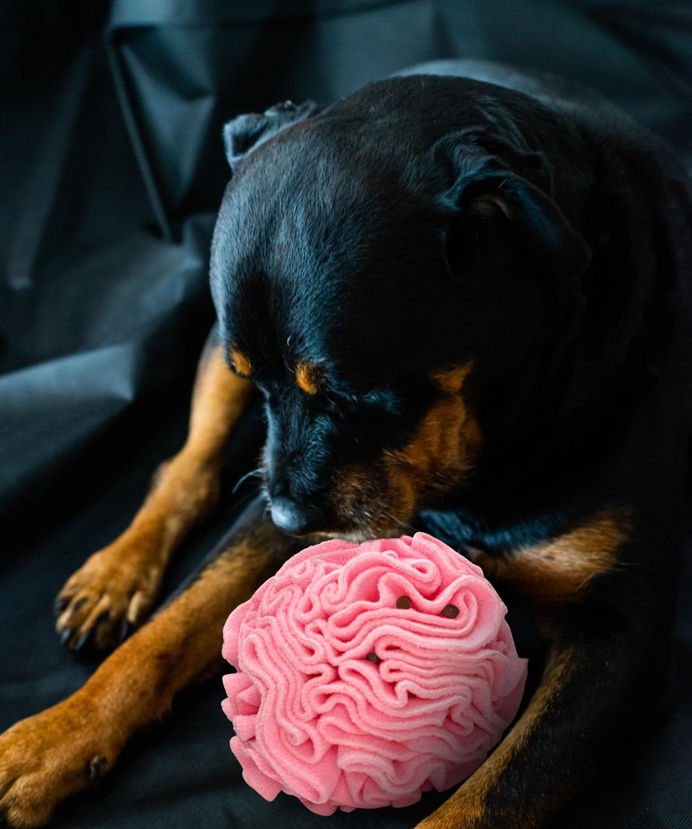 Glory To Dog snuffleball close-up pink highlights textured folds for rewarding nose-work