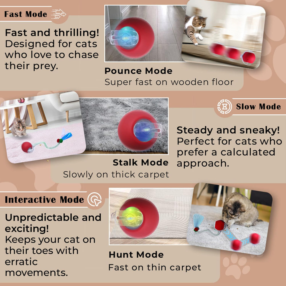 GlowPounce mode buttons demonstrate fast hunt and slow stalk options.