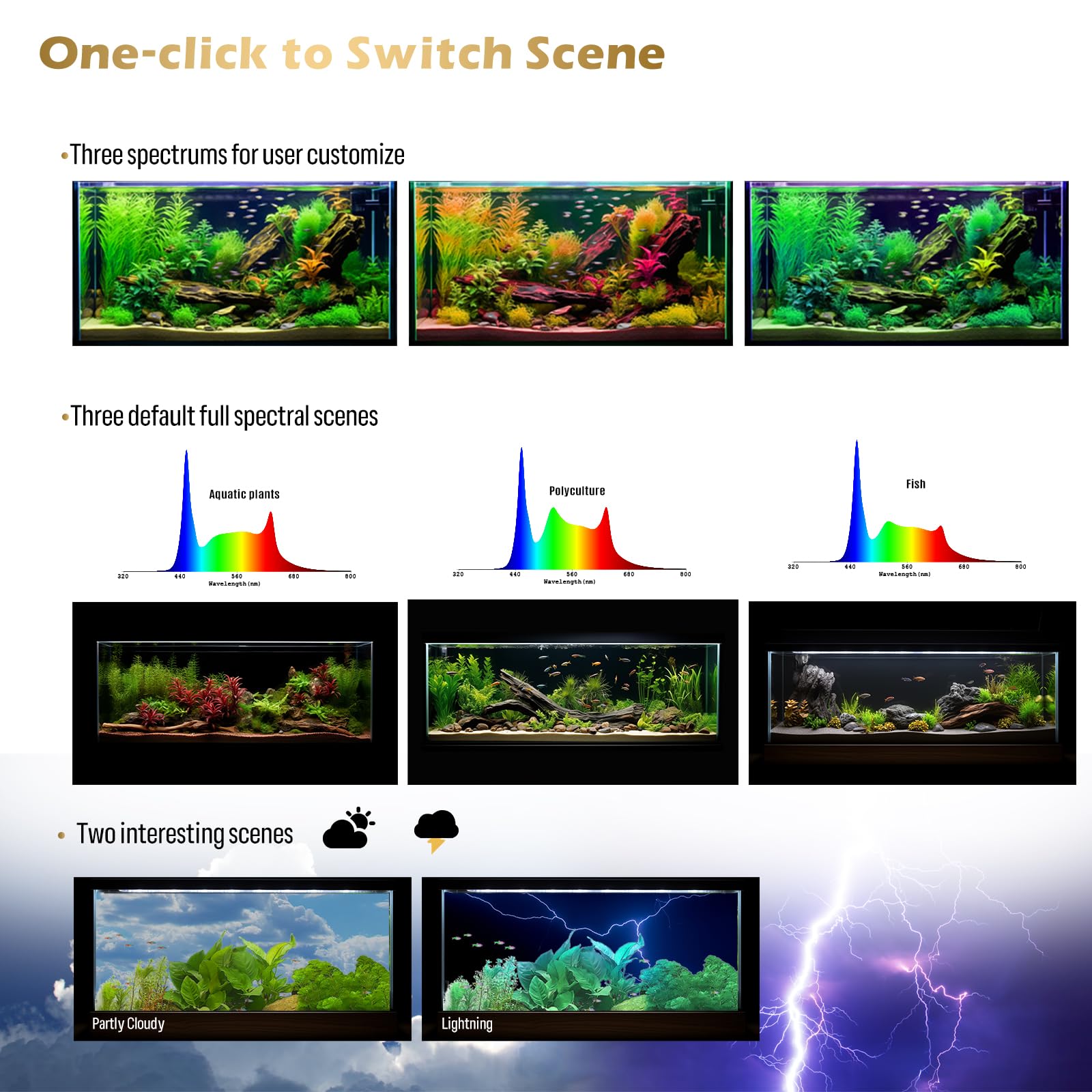 GLOWRIUM aquarium light real-time temperature sensor provides monitoring for tank health.