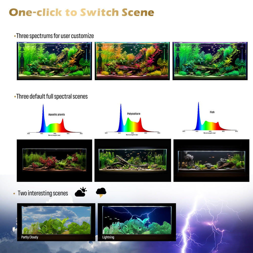 GLOWRIUM aquarium light real-time temperature sensor provides monitoring for tank health.