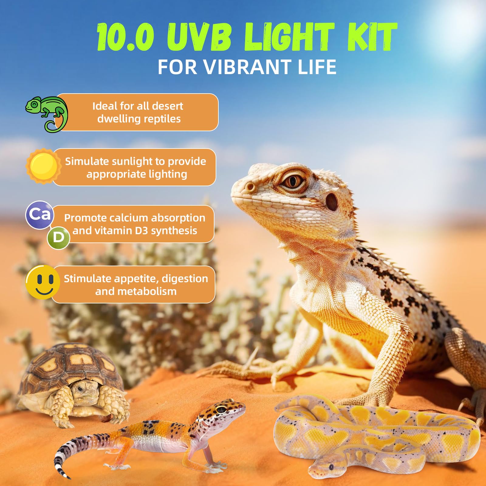GlowUp terrarium hood mounting accessories for secure light placement