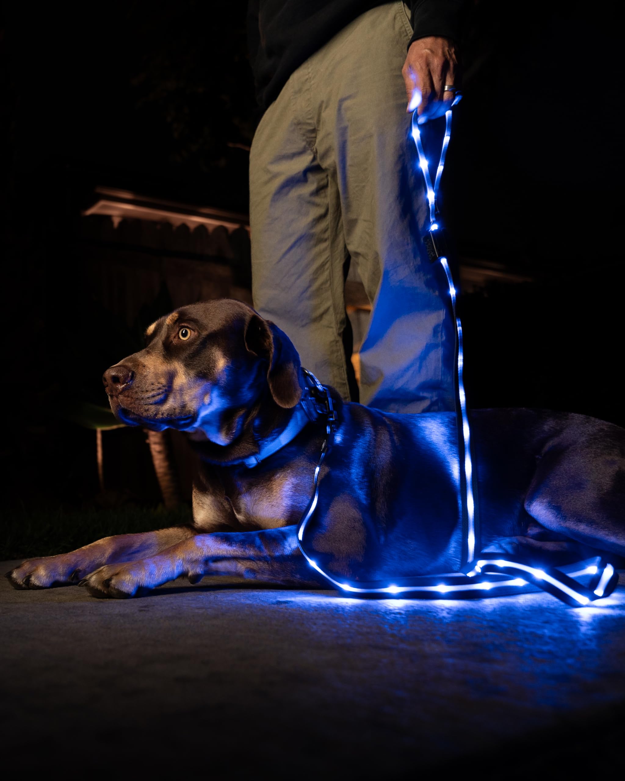 360-degree buckle on Luminoid LED leash prevents twisting