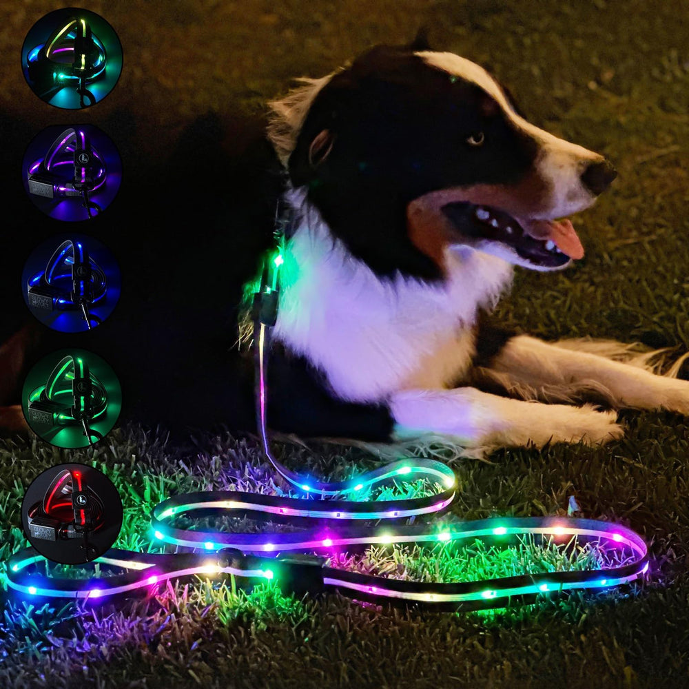 Glowy Zoey Luminoid LED leash shows bright night visibility during walks