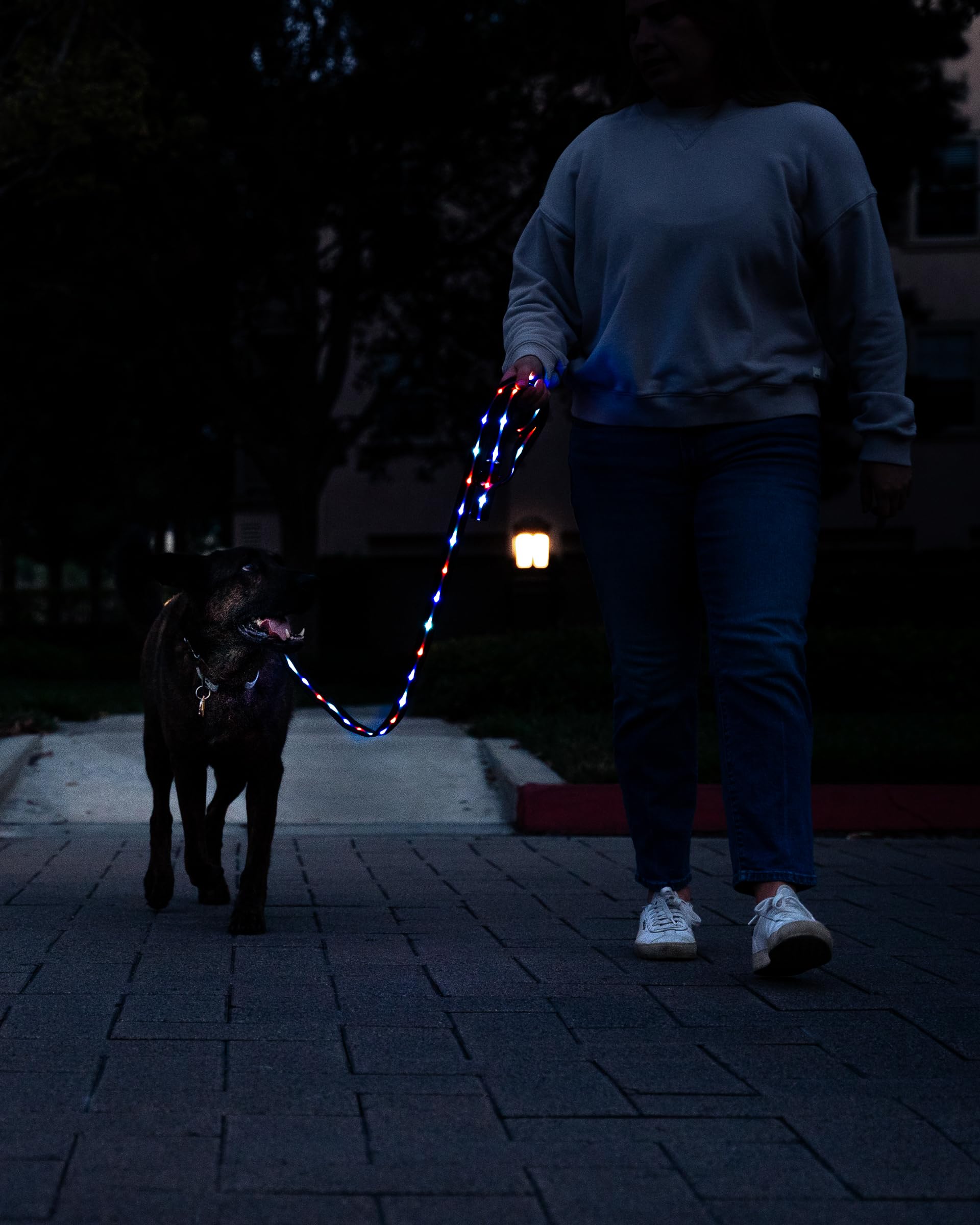 Solid color mode on Luminoid LED leash for steady visibility