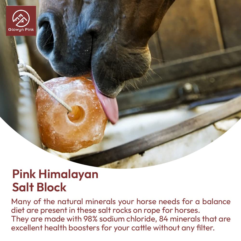 Glowyn Pink Himalayan salt block closeup shows pure minerals for livestock health.