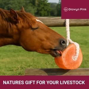 Glowyn Pink Himalayan salt lick block on rope for deer attractant in wild habitat