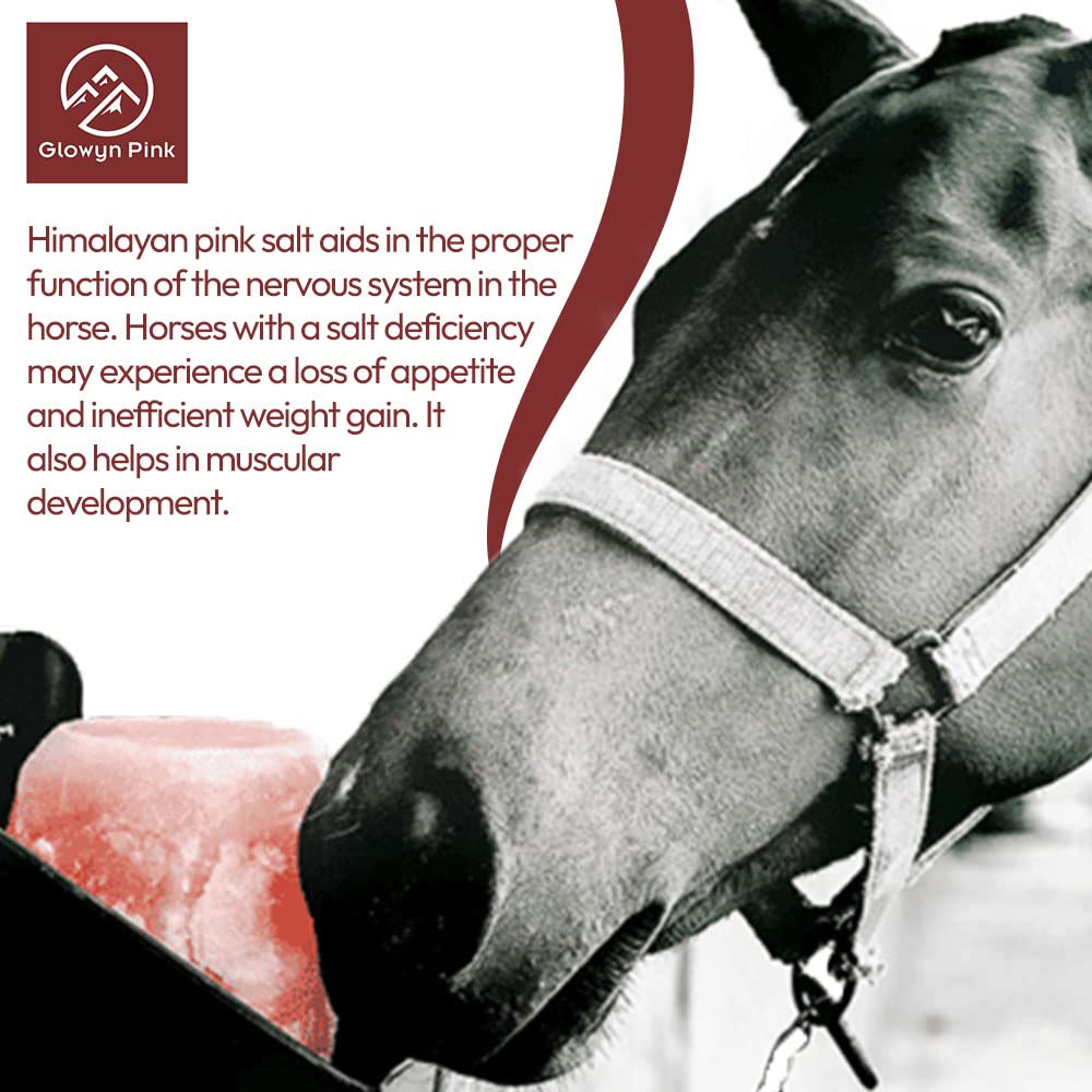 Glowyn Pink salt lick in stable demonstrates durable, weather-resistant design.