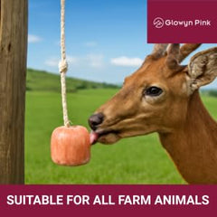 Glowyn Pink salt-lick rope detail demonstrates a sturdy licking rope for hydration support.