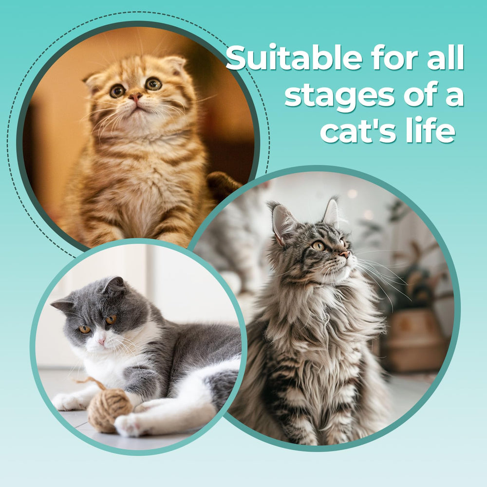 Glozaic cat nail clippers with round hole blade designed for gentle curved nails
