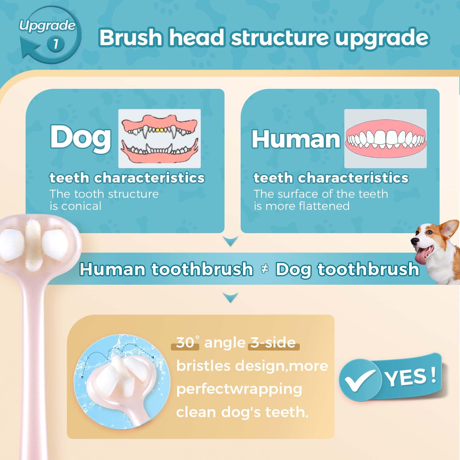 Gluckelk dog toothbrush ergonomic handle enables stable, comfortable brushing.