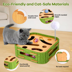 GLYVIAN jingle balls on track engaging a curious cat